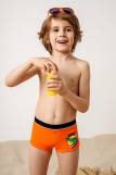 трусы купальные для мальчиков 703305 (Оранжевый) (Фото 1)