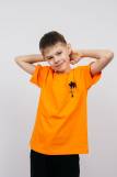 Футболка для мальчика 52365 (Оранжевый) (Фото 1)